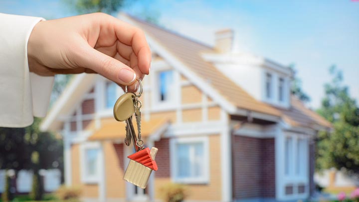 Property Investment